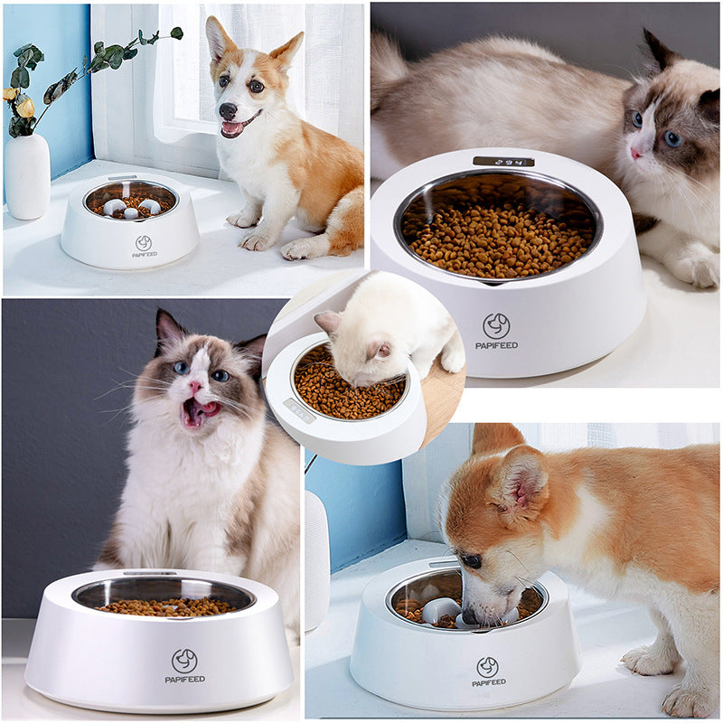 Anti-Gulp Weighing Dog Feeder