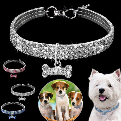 Glam Dog Leash Collar Set