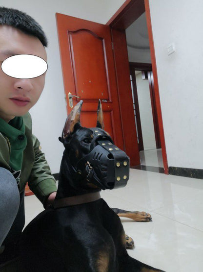 كمامة للكلاب مصنوعة من جلد البقر، مناسبة للكلاب المتوسطة والكبيرة، والكلاب ذات الرأس الحصاني