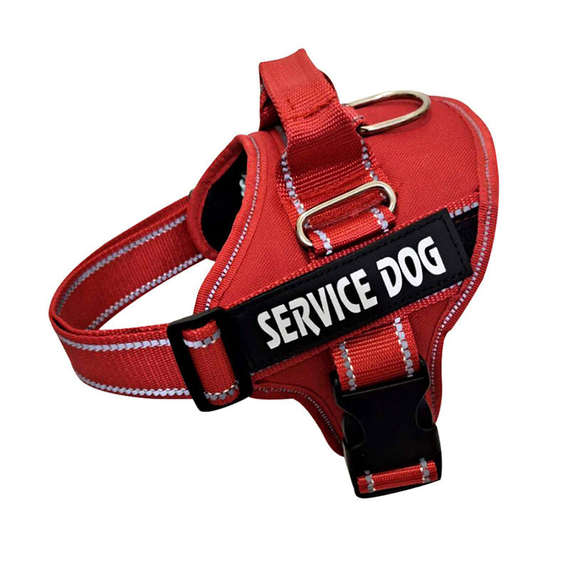 Custom Pet Harness with Personalization