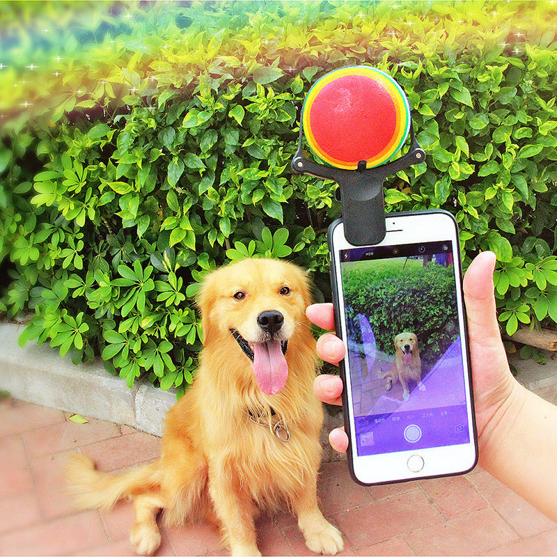 Dog Selfie Phone Toy
