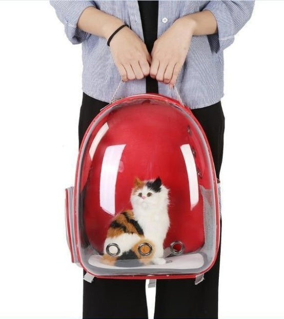 Transparent Cat Carrier Space Bag