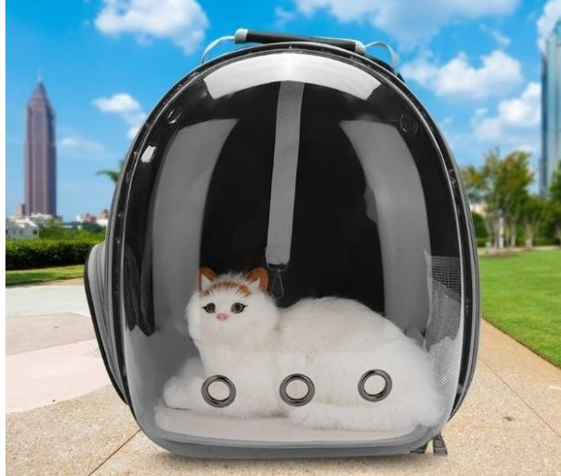 Transparent Cat Carrier Space Bag