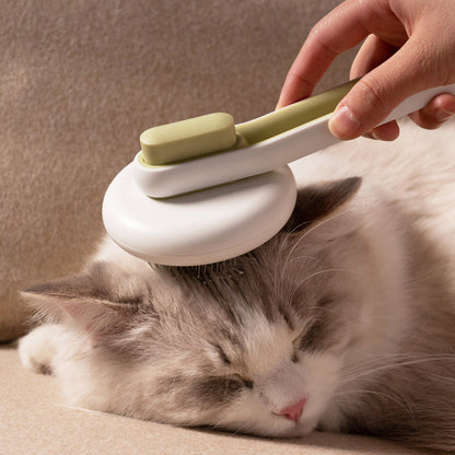 Automatic Pet Massage Brush