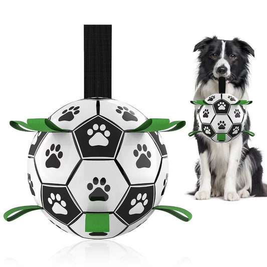 Border Collie Soccer Toy