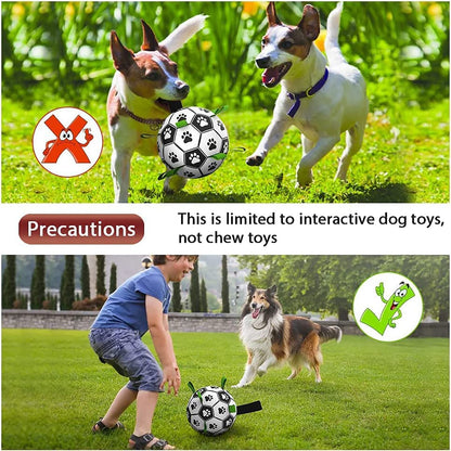 Border Collie Soccer Toy