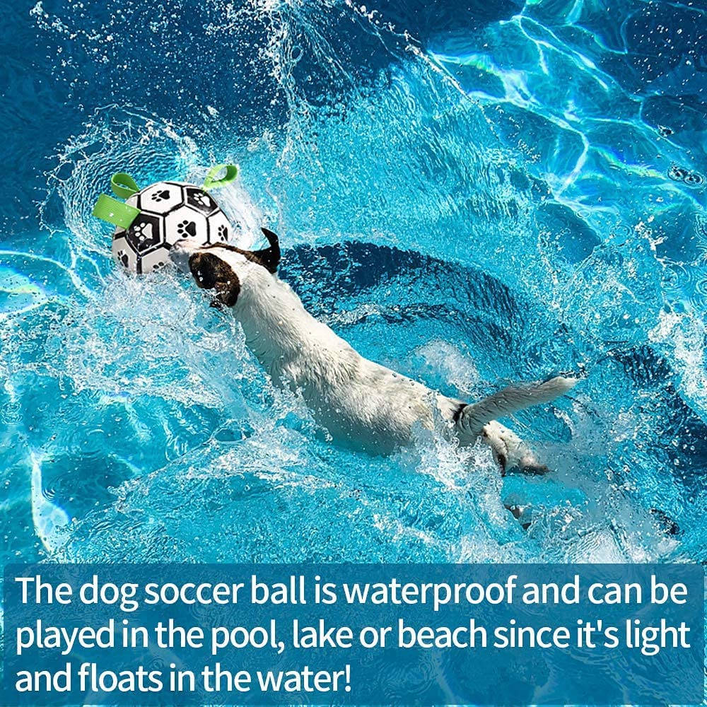 Border Collie Soccer Toy