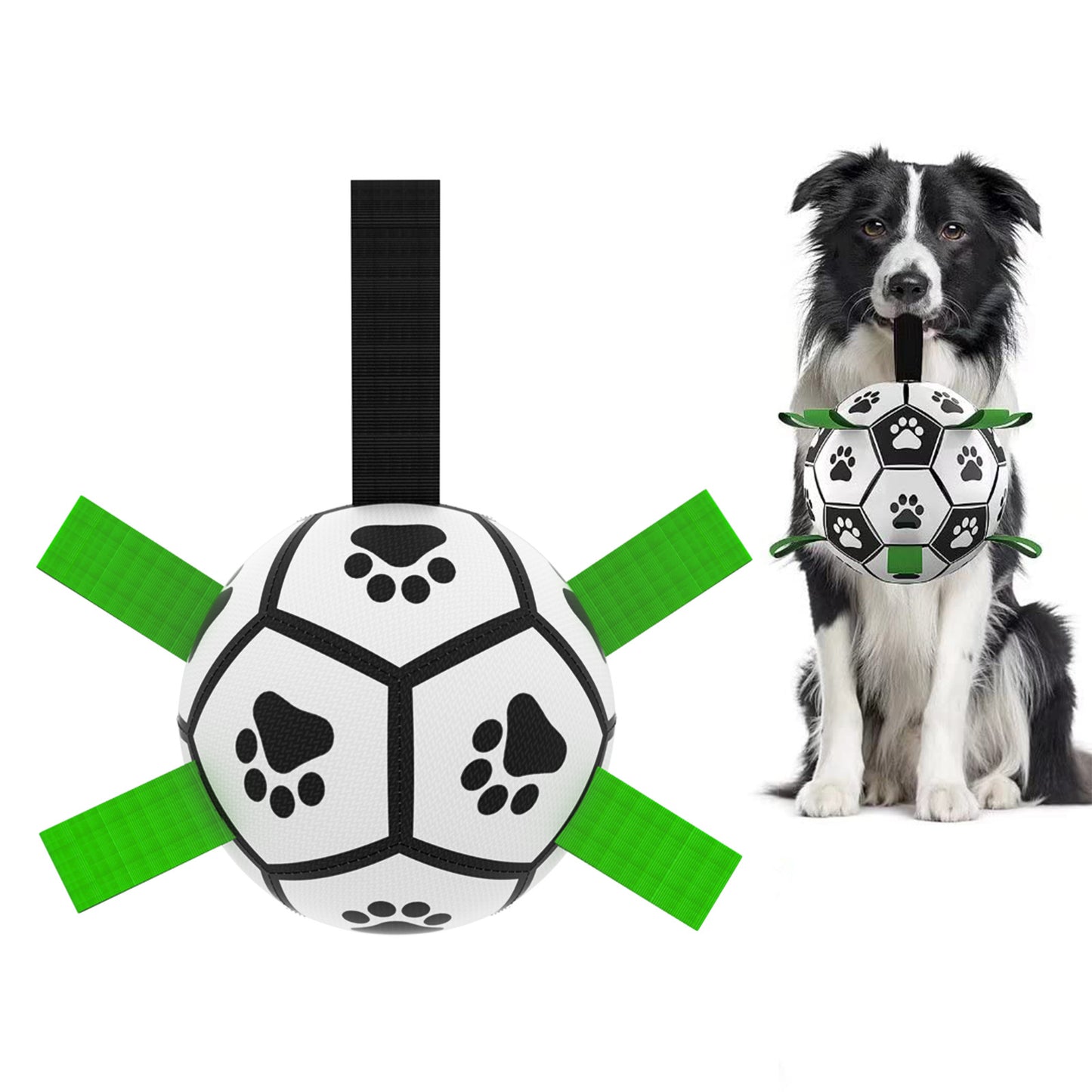 Border Collie Soccer Toy