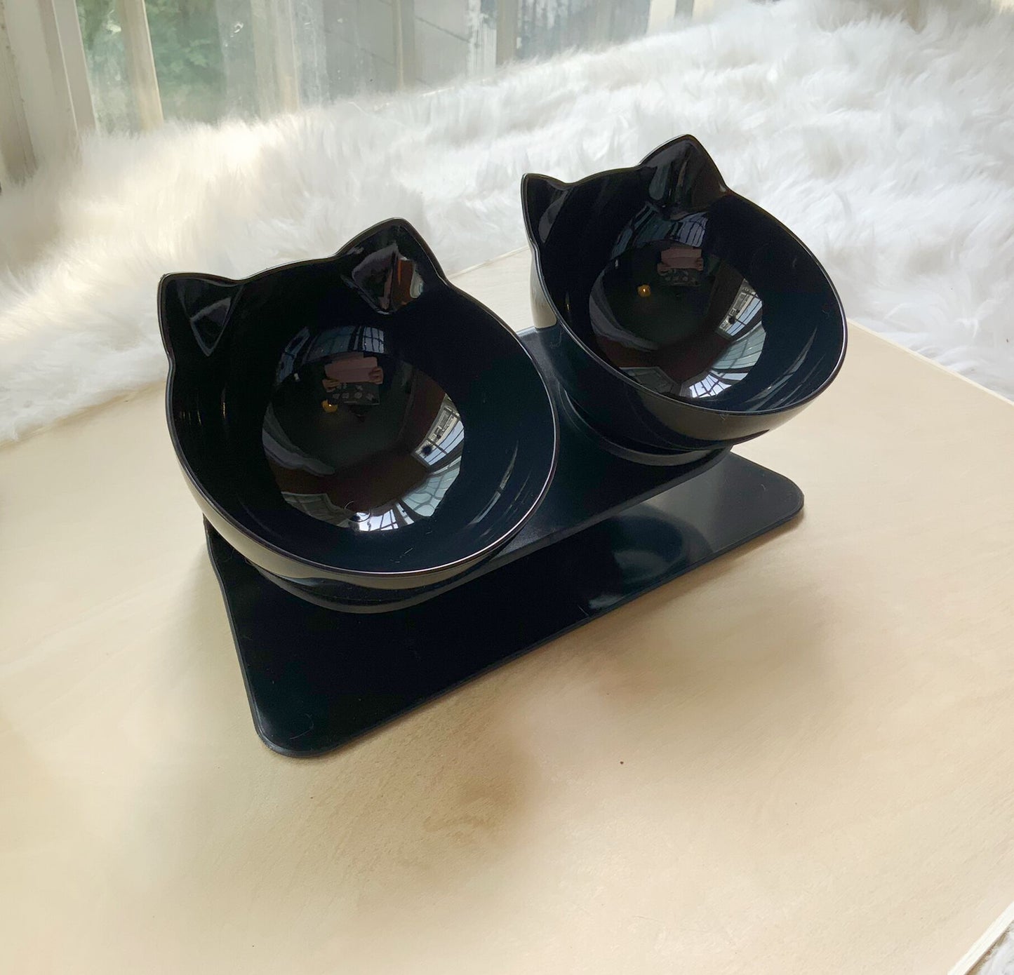 Tilted Double Bowl for Cats