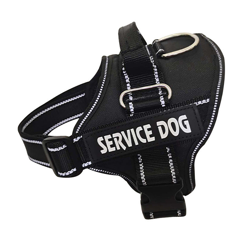 Custom Pet Harness with Personalization