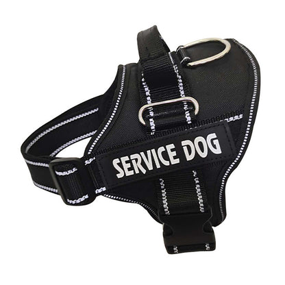 Custom Pet Harness with Personalization