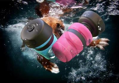 Travel Dog Water Bottle Foldable