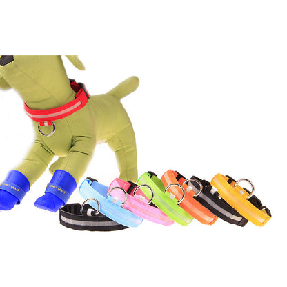 Collare LED Luminoso