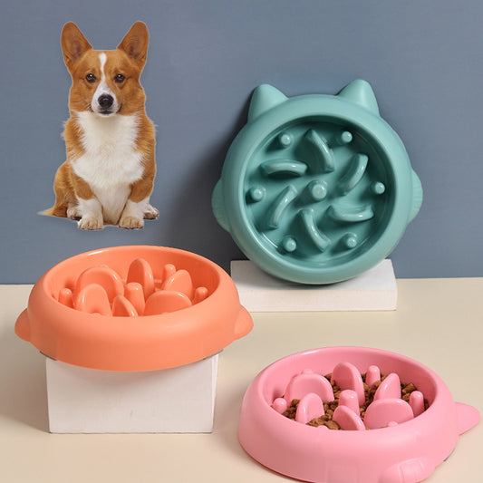 Non-Slip Slow Feed Pet Bowl