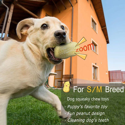 Rubber Tooth-Cleaning Toy