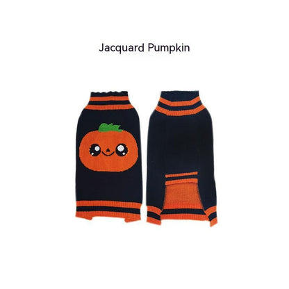 Spooky Pet Sweater Outfit