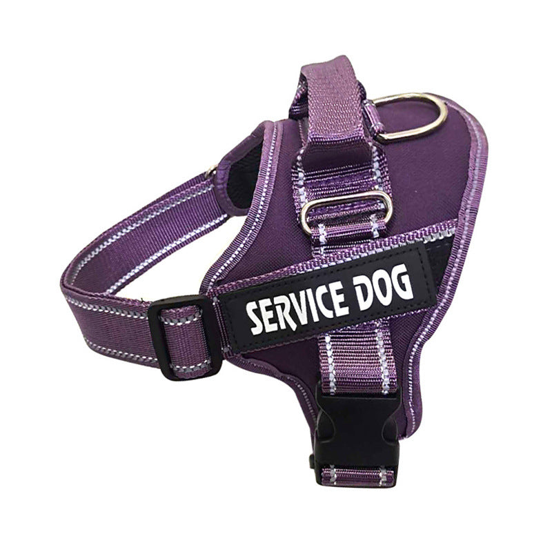 Custom Pet Harness with Personalization