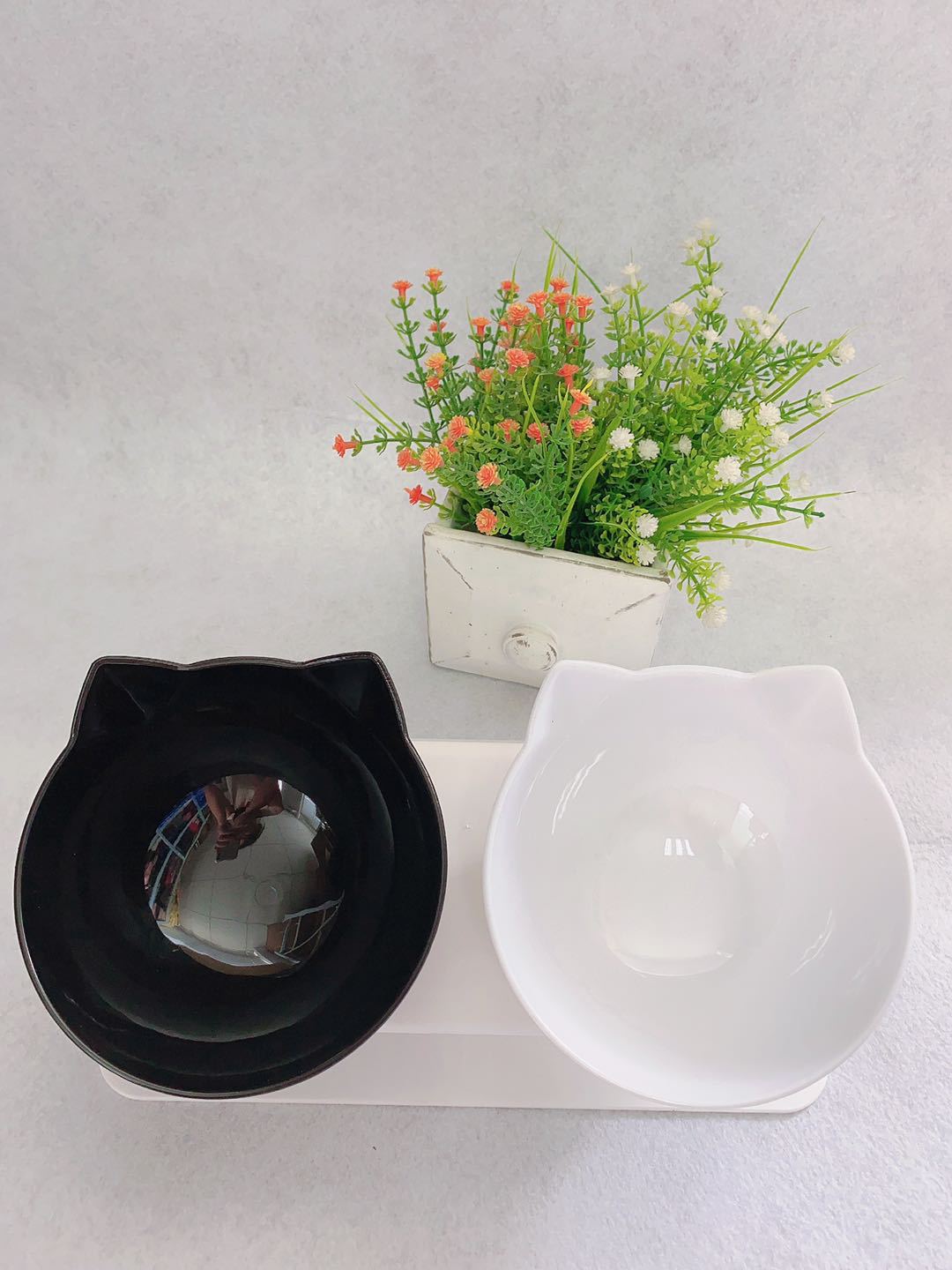 Tilted Double Bowl for Cats