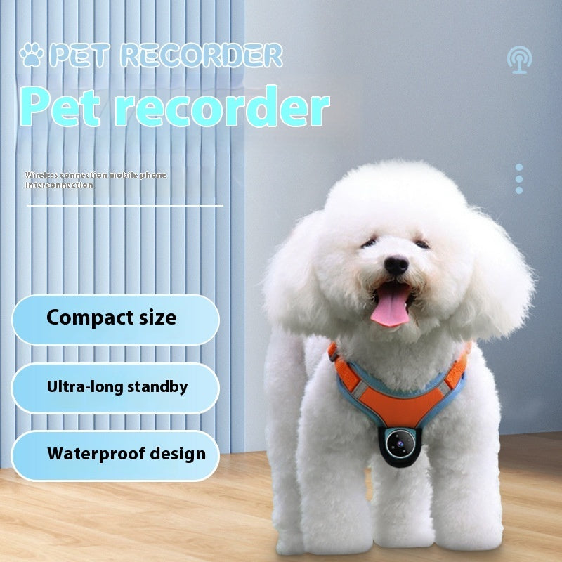Motion Record Pet Tracker
