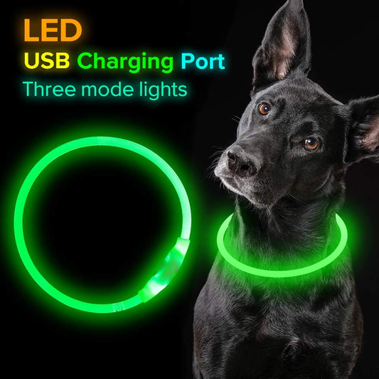 Glowing Night Walk Dog Collar