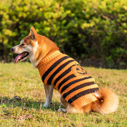 Spooky Pet Sweater Outfit