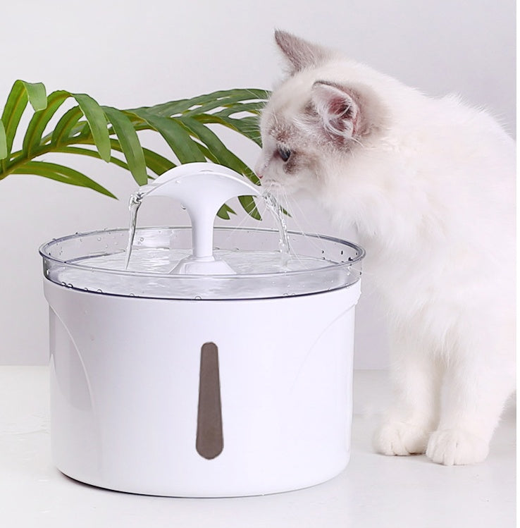 Circulating Auto Pet Fountain