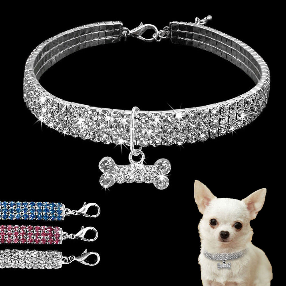 Glam Dog Leash Collar Set