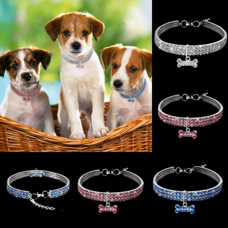 Glam Dog Leash Collar Set