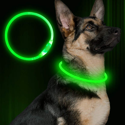 Collier lumineux pour animaux de compagnie, rechargeable par USB, collier de sécurité lumineux pour les promenades nocturnes, collier électrique néon pour chien
