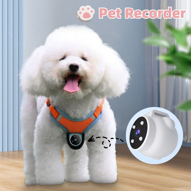 Motion Record Pet Tracker
