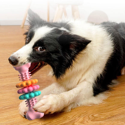 Safe Dog Bone Chewing Toy