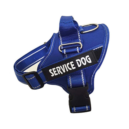 Custom Pet Harness with Personalization